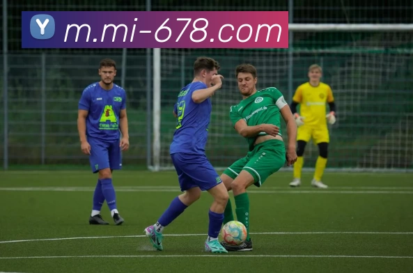 678体育APP 高清赛事图